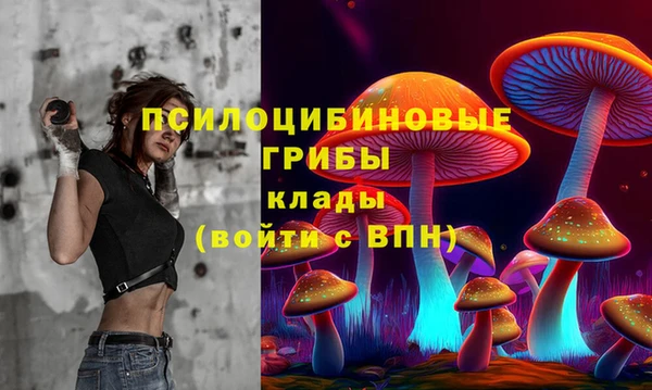 a pvp Магадан
