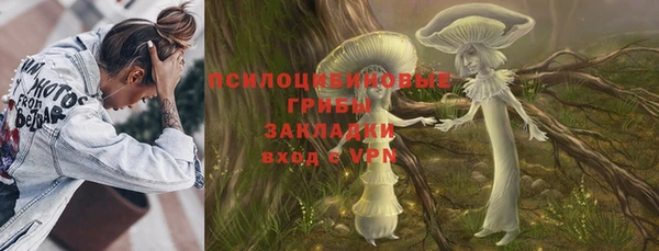 мдпв Майский